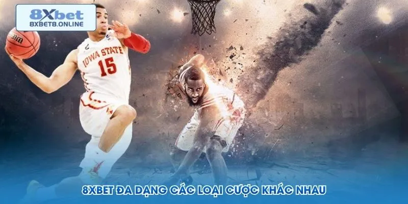 Ghi lại hạn mức cược trước mỗi phiên theo dõi bóng rổ