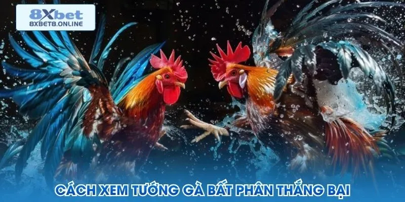 Tỷ lệ cược đá gà dịch chuyển theo dòng tiền tới sát giờ vào trận