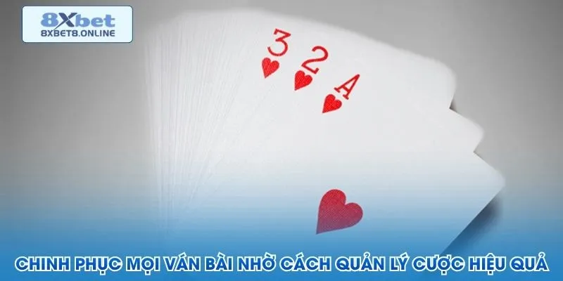 Cách đặt hạn mức cược và mốc dừng khi chơi bài cào