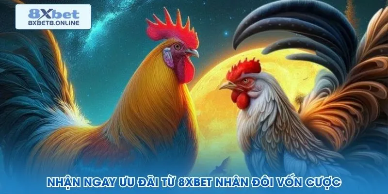 Đặt hạn mức chi tiêu trước phiên và kiểm tra lại lịch sử cược